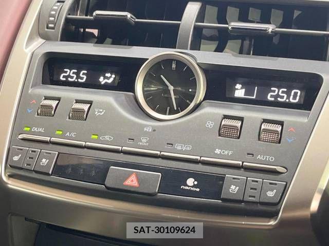 Lexus NX 2021-06 275687-7