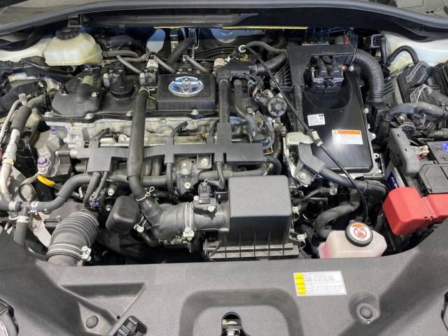 Toyota C-HR 2017-05 189245-18