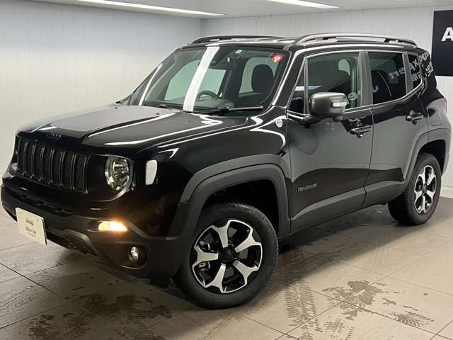 Jeep RENEGADE 2022-06 17174-0