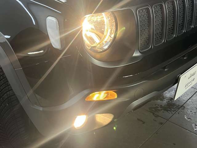 Jeep RENEGADE 2022-06 17174-9