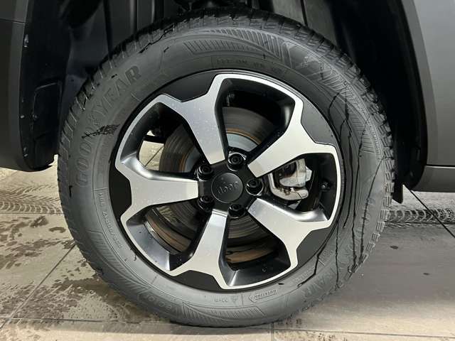 Jeep RENEGADE 2022-06 17174-15