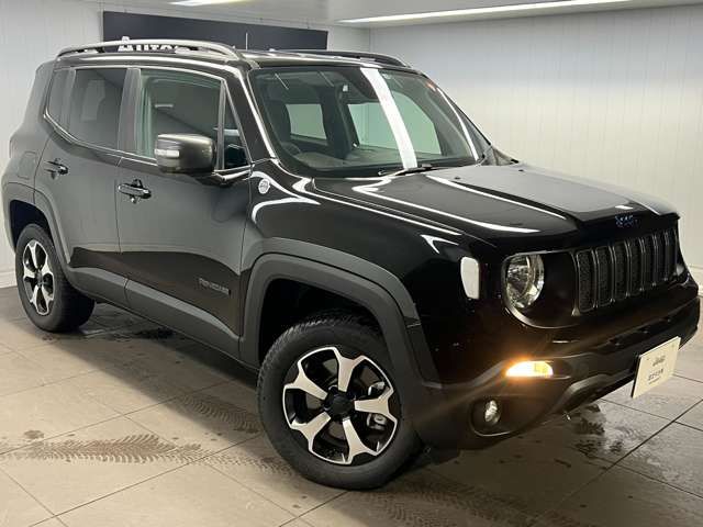 Jeep RENEGADE 2022-06 17174-5