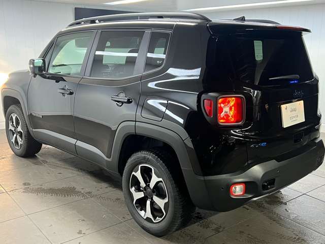 Jeep RENEGADE 2022-06 17174-8