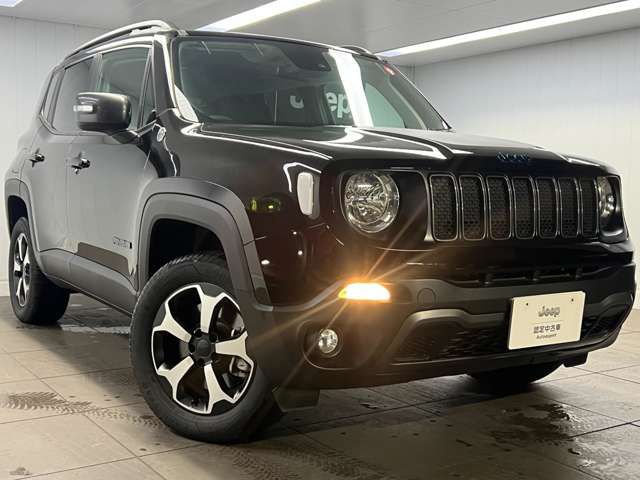 Jeep RENEGADE 2022-06 17174-7