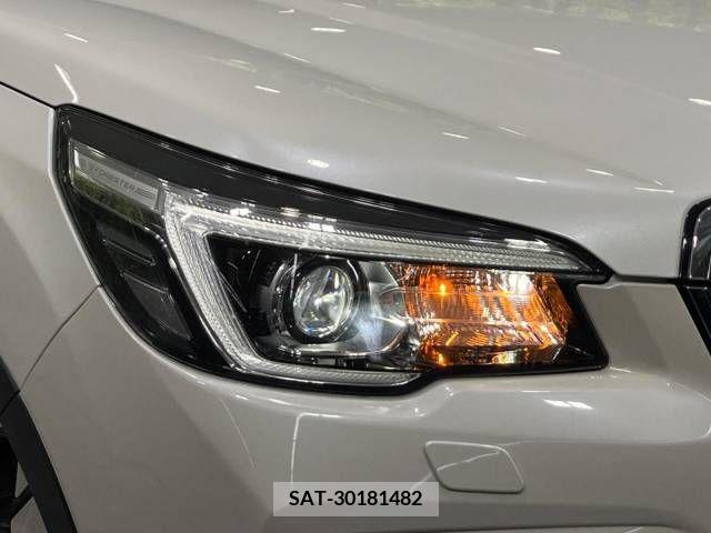 Subaru FORESTER 2019-03 396619-12
