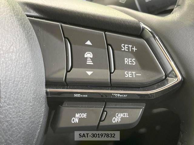 Mazda CX-8 2019-05 210788-5