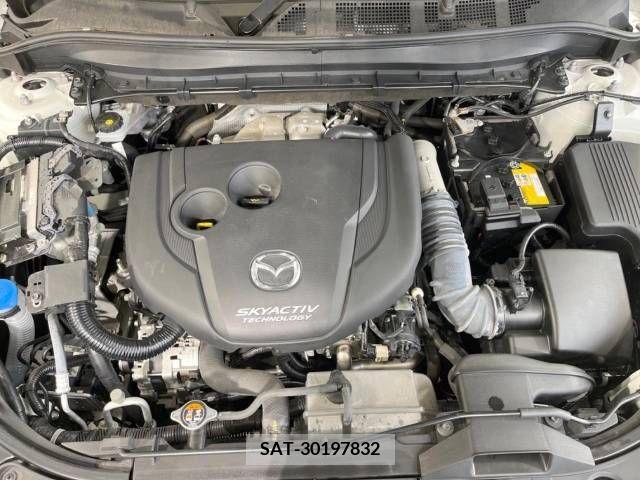 Mazda CX-8 2019-05 210788-18