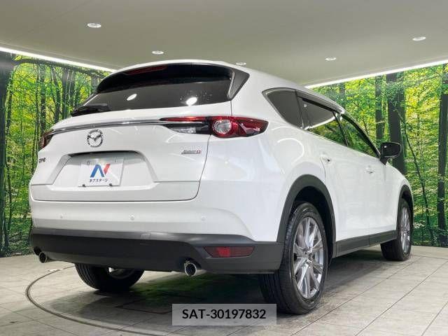 Mazda CX-8 2019-05 210788-17