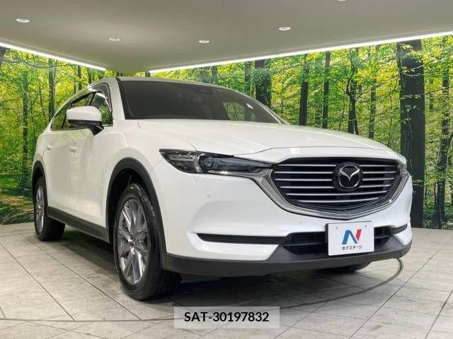 Mazda CX-8 2019-05 210788-16