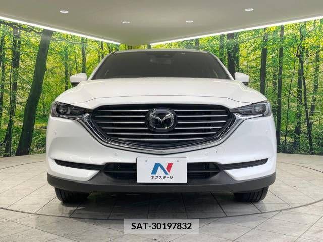 Mazda CX-8 2019-05 210788-14