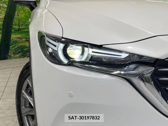 Mazda CX-8 2019-05 210788-12