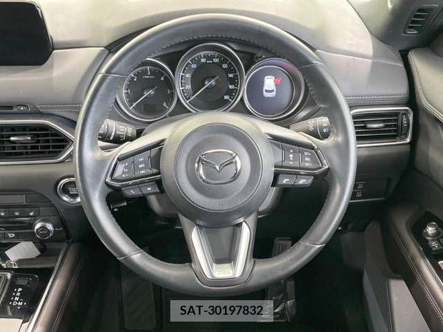 Mazda CX-8 2019-05 210788-11