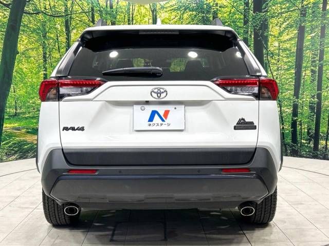 Toyota RAV4 2021-04 185013-15
