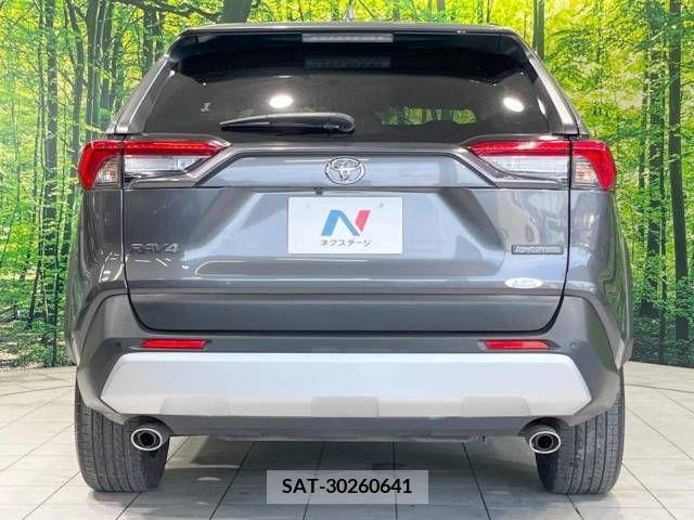 Toyota RAV4 2019-07 345789-14