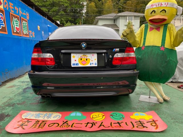 Bmw 3 SERIES 2004-09 3897-4
