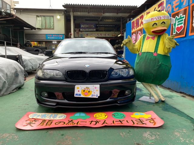 Bmw 3 SERIES 2004-09 3897-1