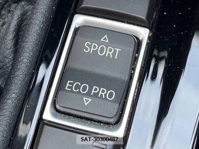 Bmw X1 2017-10 294030-6