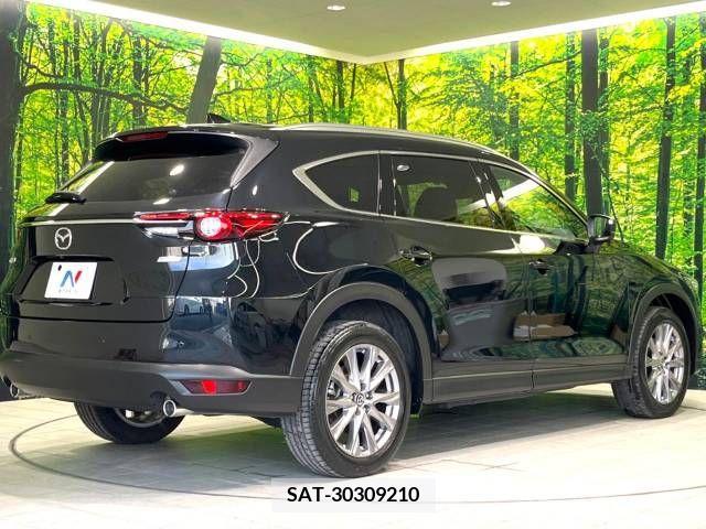 Mazda CX-8 2019-06 308557-17