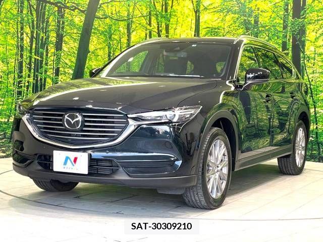 Mazda CX-8 2019-06 308557-16