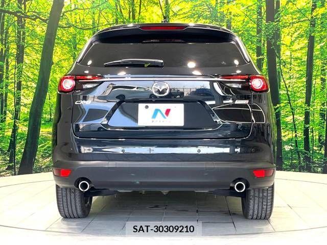 Mazda CX-8 2019-06 308557-15