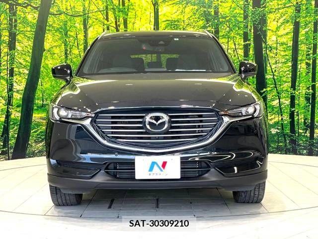 Mazda CX-8 2019-06 308557-14