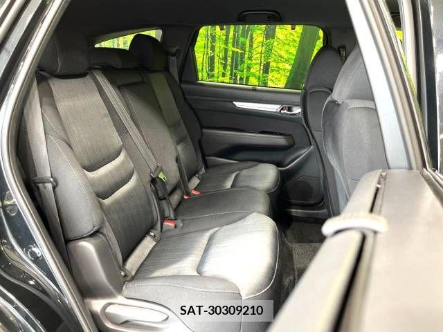 Mazda CX-8 2019-06 308557-9