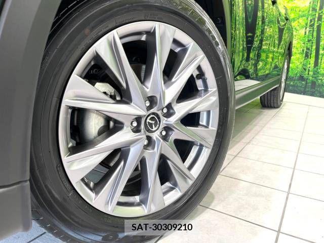 Mazda CX-8 2019-06 308557-13