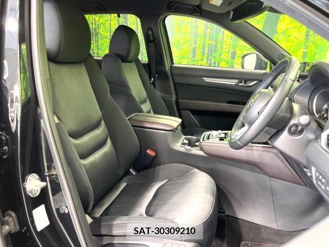 Mazda CX-8 2019-06 308557-8