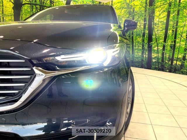 Mazda CX-8 2019-06 308557-12