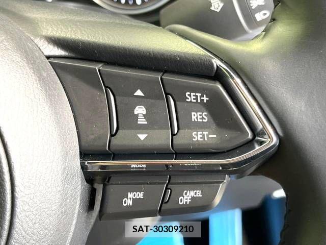 Mazda CX-8 2019-06 308557-6
