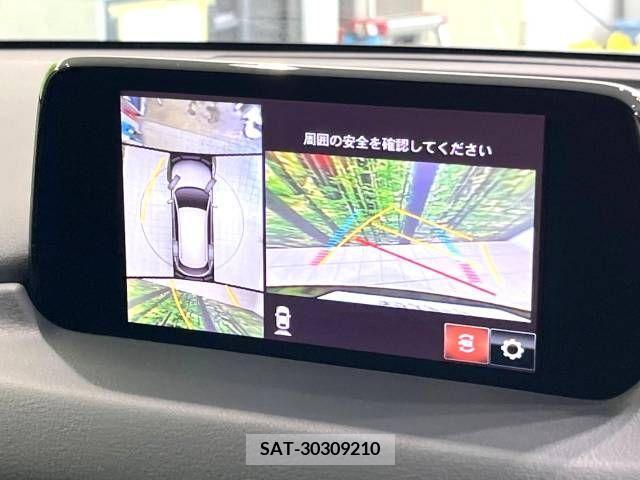 Mazda CX-8 2019-06 308557-4