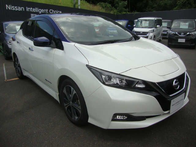 Nissan LEAF 2018-03 5492-0