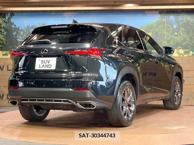 Lexus NX 2018-06 213005-18