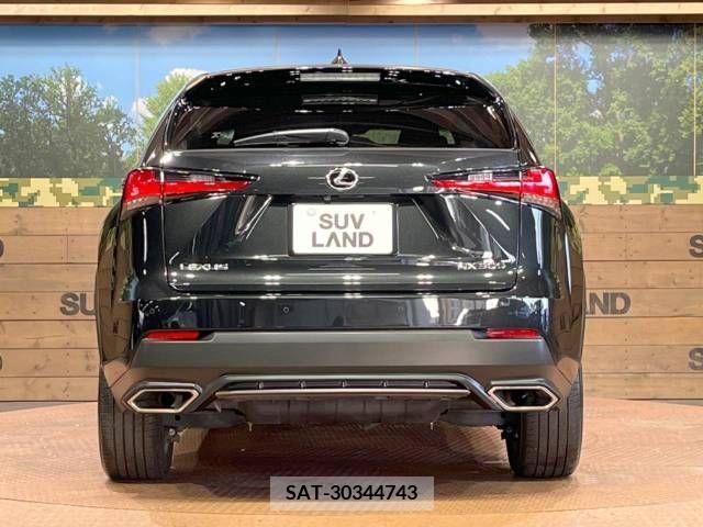 Lexus NX 2018-06 213005-16
