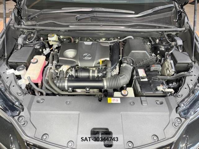 Lexus NX 2018-06 213005-19
