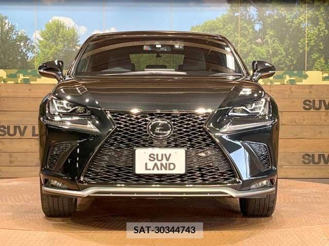 Lexus NX 2018-06 213005-15