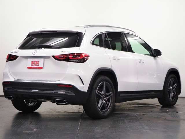 Mercedes Benz GLA-CLASS 2021-01 5336-4