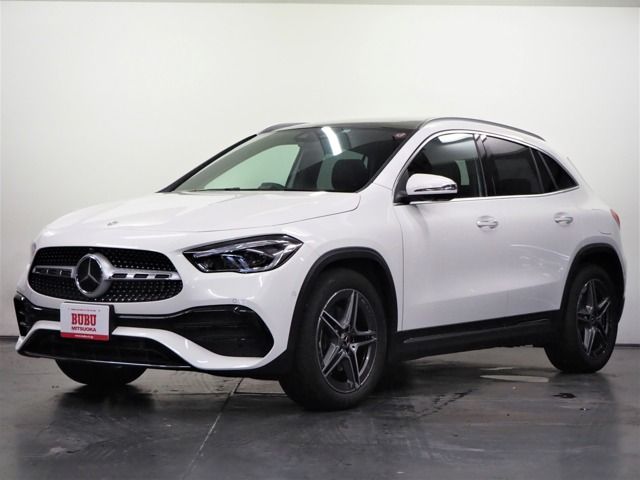 Mercedes Benz GLA-CLASS 2021-01 5336-0