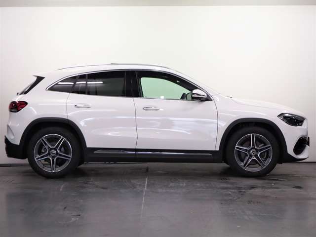 Mercedes Benz GLA-CLASS 2021-01 5336-3