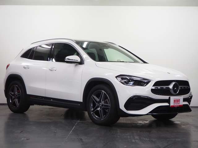 Mercedes Benz GLA-CLASS 2021-01 5336-2