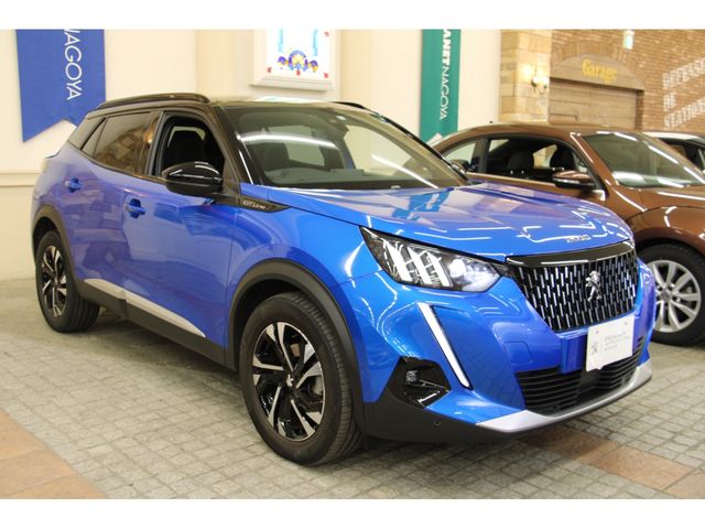 Peugeot 2008 2020-09 12781-25