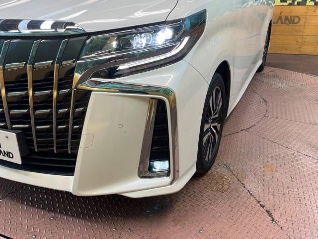 Toyota ALPHARD 2019-02 27576-13