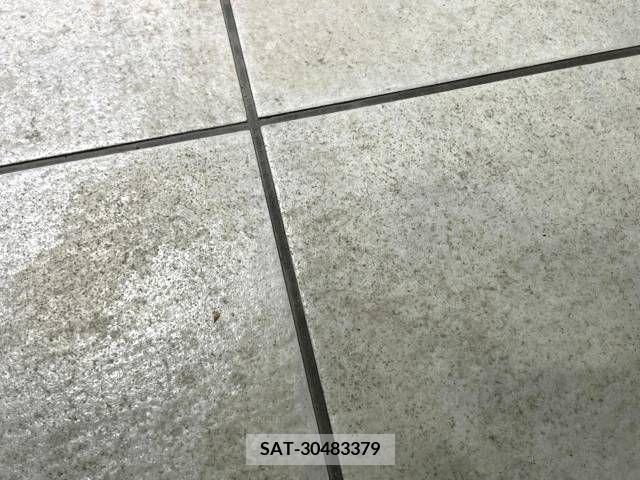 Toyota VOXY 2010-02 386765-9