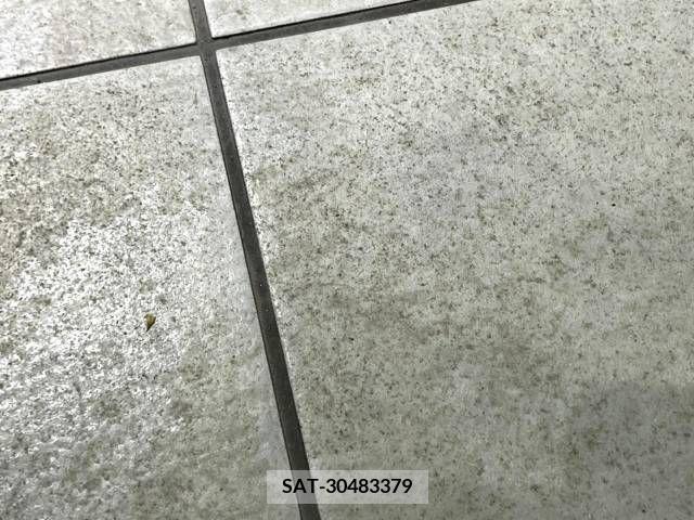 Toyota VOXY 2010-02 386765-8