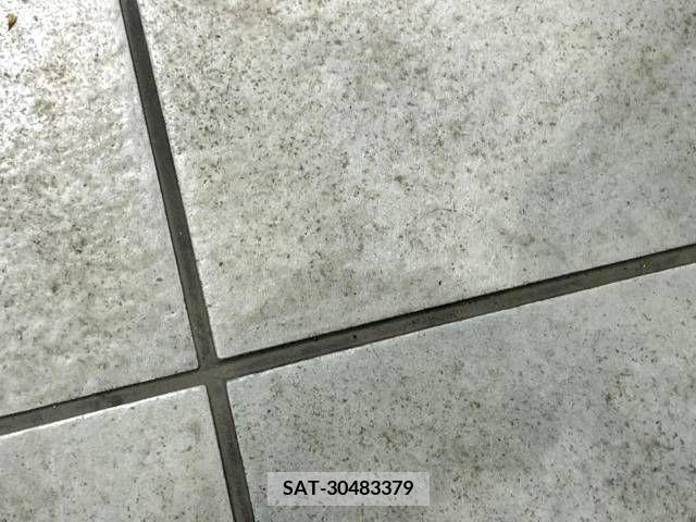 Toyota VOXY 2010-02 386765-7