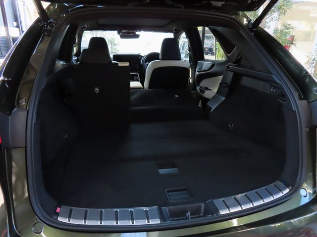 Lexus NX 2023-10 196408-28