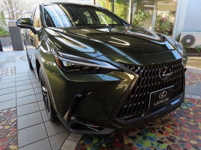 Lexus NX 2023-10 196408-7