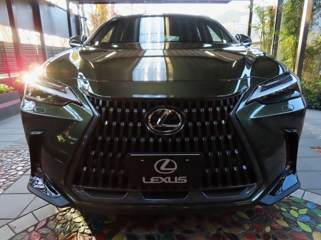 Lexus NX 2023-10 196408-3
