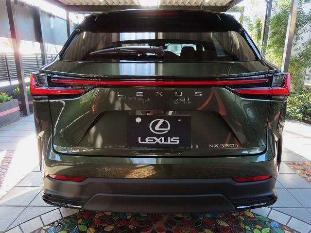 Lexus NX 2023-10 196408-5
