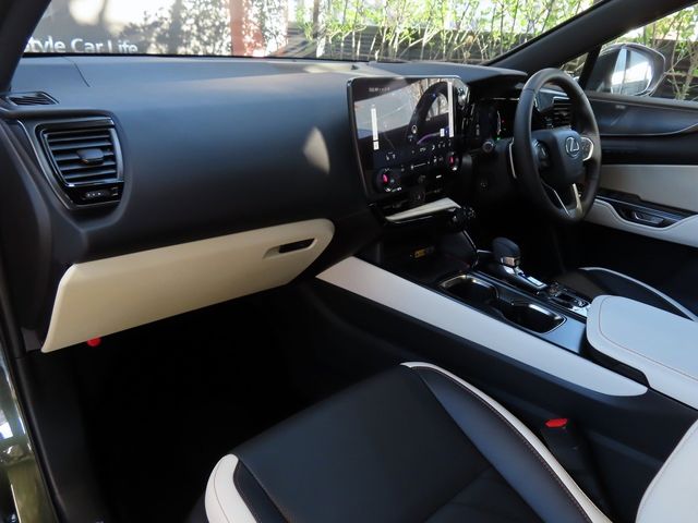 Lexus NX 2023-10 196408-15